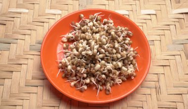 close up view of sprouted soy in orange bowl, healthy food concept