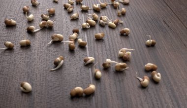 Ahşap masada filizlenmiş soya.