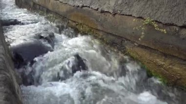beautiful view of the water stream in the forest