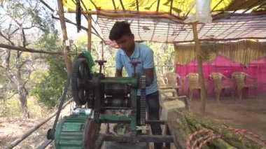 Udaipur, Hindistan - 5 Mart 2018: Hintli adam şeker kamışından şeker suyu sıkmak için eski bir makine kullanıyor