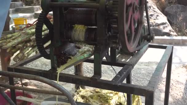 2018年3月5日インド ウダイプル 古い機械を使ってサトウキビから砂糖水を絞るインド人男性 — ストック動画