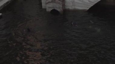 Jodhpur, Rajasthan, Hindistan - 17 Ekim 2017: Hintli çocuklar Toorji Ka Jhalra Bavdi 'de suya atlıyorlar