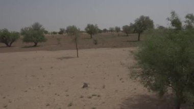 Nakliye sırasında boş çöl ile açık hava manzarası