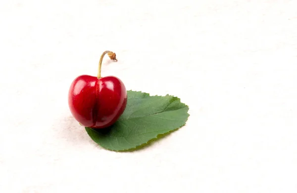 Φρέσκο Κόκκινο Κεράσι Φύλλο Λευκό Φόντο — Φωτογραφία Αρχείου