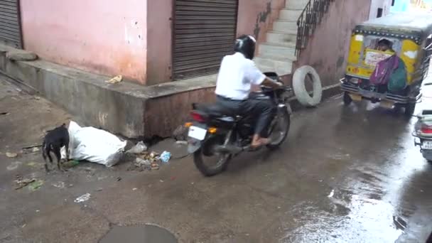 人力車に乗ってインドの汚れた通りを眺めます — ストック動画