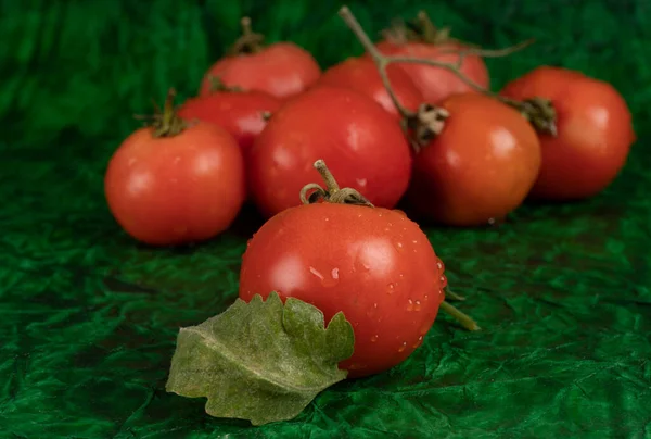 Yeşil Zemin Üzerinde Taze Kırmızı Domatesler — Stok fotoğraf