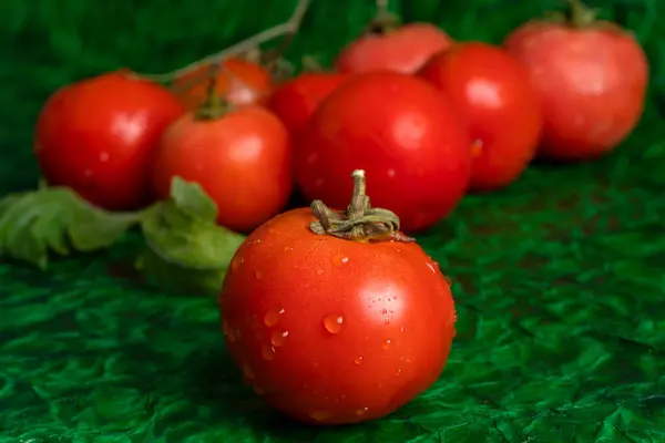 Tomates Rojos Frescos Sobre Fondo Verde Imagen de archivo
