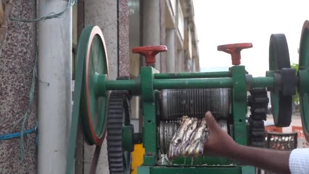 2018年3月5日 印度乌代普尔 印度男子使用一台旧机器从甘蔗中挤出糖水 — 图库视频影像