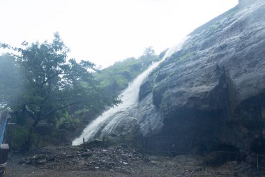 Ormanda güzel bir şelale