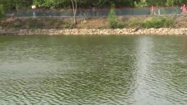 Parktaki gölün güzel manzarası