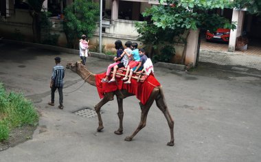 Şehirde develi insanlar var.