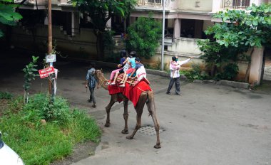 Şehirde develi insanlar var.