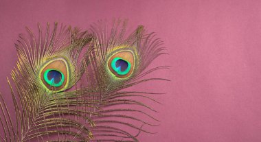 Pembe arka plandaki tavus kuşu tüylerinin görüntüsünü kapat