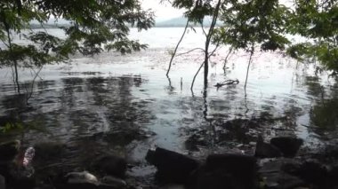 Gündüz vakti güzel göl kıyısı