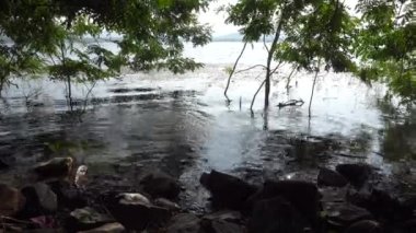 Gündüz vakti güzel göl kıyısı