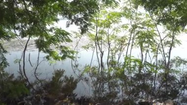 Gündüz vakti güzel göl kıyısı