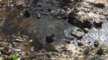 Dağın tepesindeki ördek manzarası