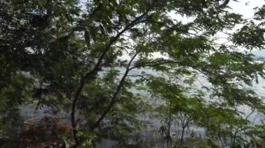 Gündüz vakti güzel göl kıyısı