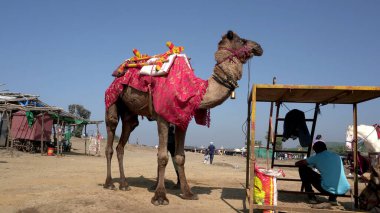 Hindistan 'da develi insanlar