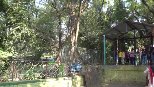 印地安人在公园休息 — 图库视频影像
