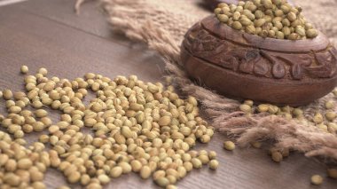 Kişniş tozu, Hint baharatı ve bitkileri için bir kase kişniş tohumu..