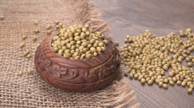 Kişniş tozu, Hint baharatı ve bitkileri için kişniş tohumları..