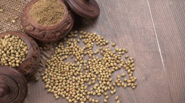 Kişniş tozu, Hint baharatı ve bitkileri için kişniş tohumları..