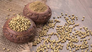 Kişniş tozu, Hint baharatı ve bitkileri için kişniş tohumları..