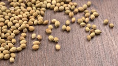 Kişniş tozu, Hint baharatı ve bitkileri için kişniş tohumları..