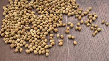 Kişniş tozu, Hint baharatı ve bitkileri için kişniş tohumları..