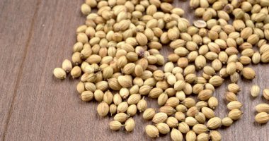 Kişniş tozu, Hint baharatı ve bitkileri için kişniş tohumları..