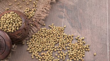 Kişniş tozu, Hint baharatı ve bitkileri için bir kase kişniş tohumu..