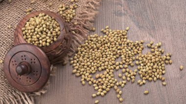 Kişniş tozu, Hint baharatı ve bitkileri için bir kase kişniş tohumu..