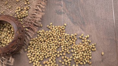 Kişniş tozu, Hint baharatı ve bitkileri için bir kase kişniş tohumu..