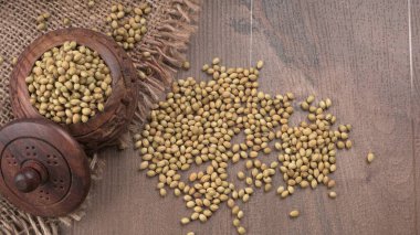 Kişniş tozu, Hint baharatı ve bitkileri için bir kase kişniş tohumu..