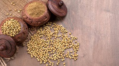 Kişniş tozu, Hint baharatı ve bitkileri için bir kase kişniş tohumu..