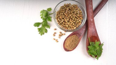 Kişniş tozu, Hint baharatı ve bitkileri için bir kase kişniş tohumu..