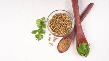 Kişniş tozu, Hint baharatı ve bitkileri için bir kase kişniş tohumu..