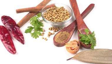 Kişniş tozu, Hint baharatı ve bitkileri için bir kase kişniş tohumu..