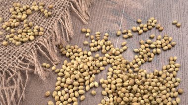 Kişniş tozu, Hint baharatı ve bitkileri için bir kase kişniş tohumu..