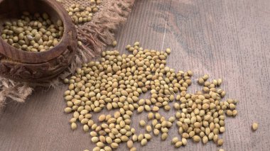 Kişniş tozu, Hint baharatı ve bitkileri için bir kase kişniş tohumu..