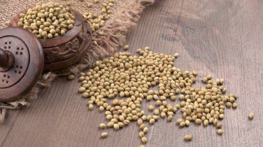 Kişniş tozu, Hint baharatı ve bitkileri için bir kase kişniş tohumu..