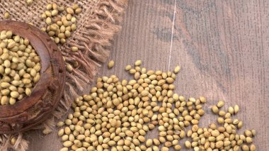 Kişniş tozu, Hint baharatı ve bitkileri için bir kase kişniş tohumu..