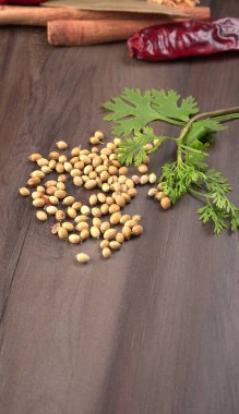 Kuru kişniş tohumları ile küçük bambu kaşığı ve yeşil taze kişniş yaprakları, Asya 'nın mutfağında bulunan ünlü baharatlar..