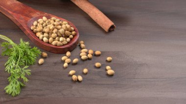 Kuru kişniş tohumları ile küçük bambu kaşığı ve yeşil taze kişniş yaprakları, Asya 'nın mutfağında bulunan ünlü baharatlar..