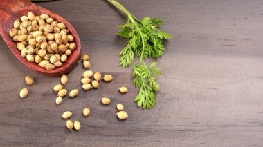 Kuru kişniş tohumları ile küçük bambu kaşığı ve yeşil taze kişniş yaprakları, Asya 'nın mutfağında bulunan ünlü baharatlar..