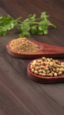 Kuru kişniş tohumları ile küçük bambu kaşıkları ve yeşil taze kişniş yaprakları, Asya 'nın mutfağında bulunan ünlü baharatlar..