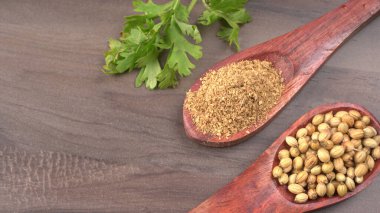 Kuru kişniş tohumları ile küçük bambu kaşıkları ve yeşil taze kişniş yaprakları, Asya 'nın mutfağında bulunan ünlü baharatlar..