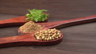 Kuru kişniş tohumları ile küçük bambu kaşıkları ve yeşil taze kişniş yaprakları, Asya 'nın mutfağında bulunan ünlü baharatlar..