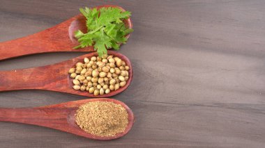 Kuru kişniş tohumları ile küçük bambu kaşıkları ve yeşil taze kişniş yaprakları, Asya 'nın mutfağında bulunan ünlü baharatlar..